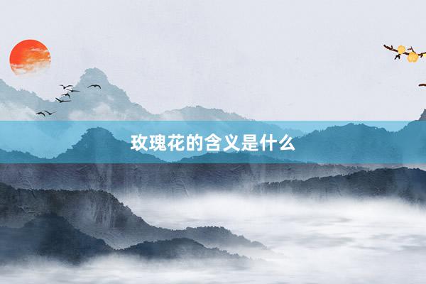 玫瑰花的含义是什么