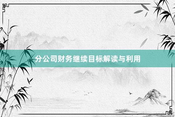 分公司财务继续目标解读与利用
